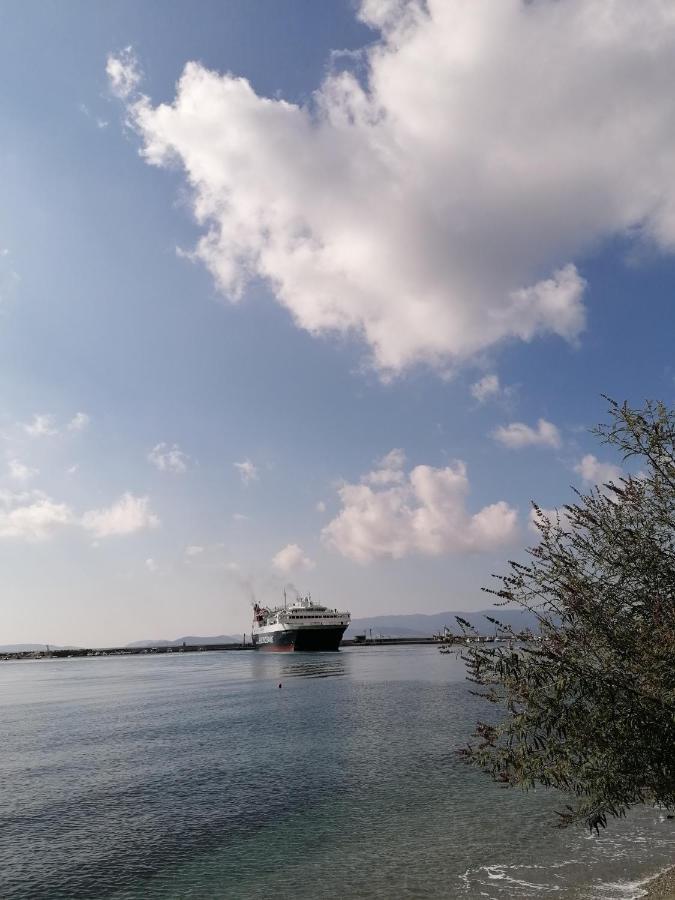 Villa Evmenia Panoramic View & Sea Front Apartments Скопелос Екстериор снимка