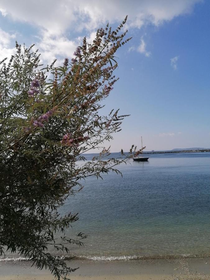 Villa Evmenia Panoramic View & Sea Front Apartments Скопелос Екстериор снимка
