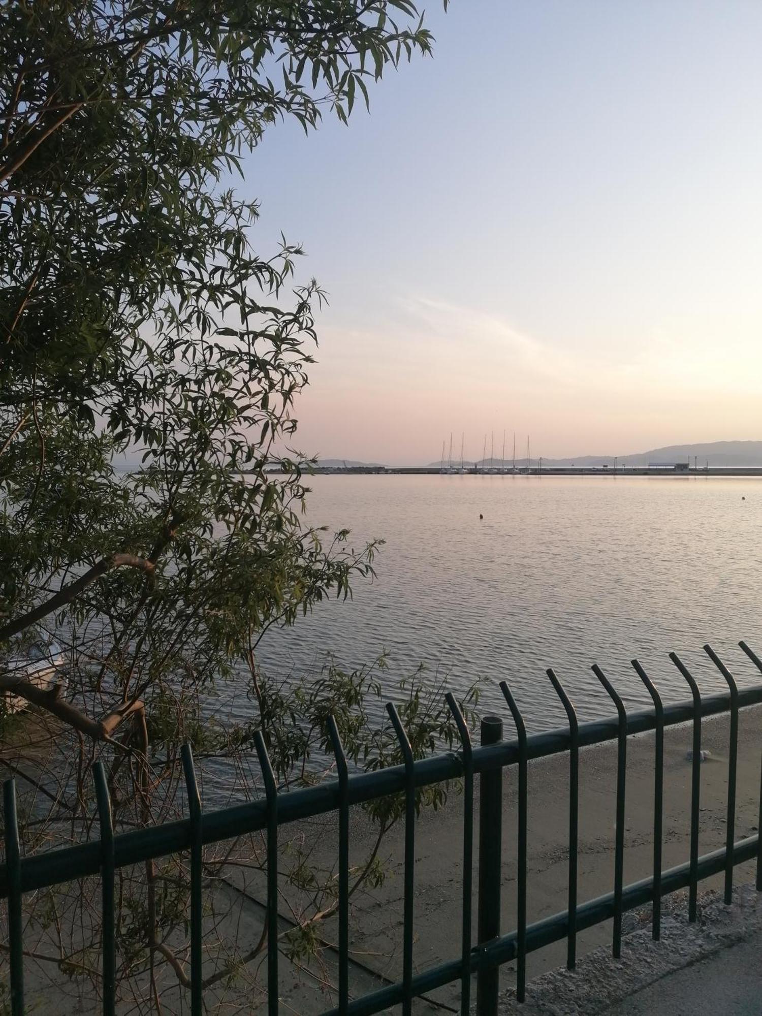 Villa Evmenia Panoramic View & Sea Front Apartments Скопелос Екстериор снимка